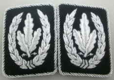 Reichsfuhrer-SS Heinrich Himmler Collar Tabs