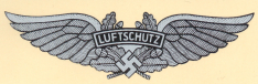 Luftshutz Helmet decal