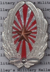 Japanese Army Airplane Pilot Technique Mastery Badge (Out Of Stock)