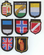 Foreign Volunteer Sleeve Shields